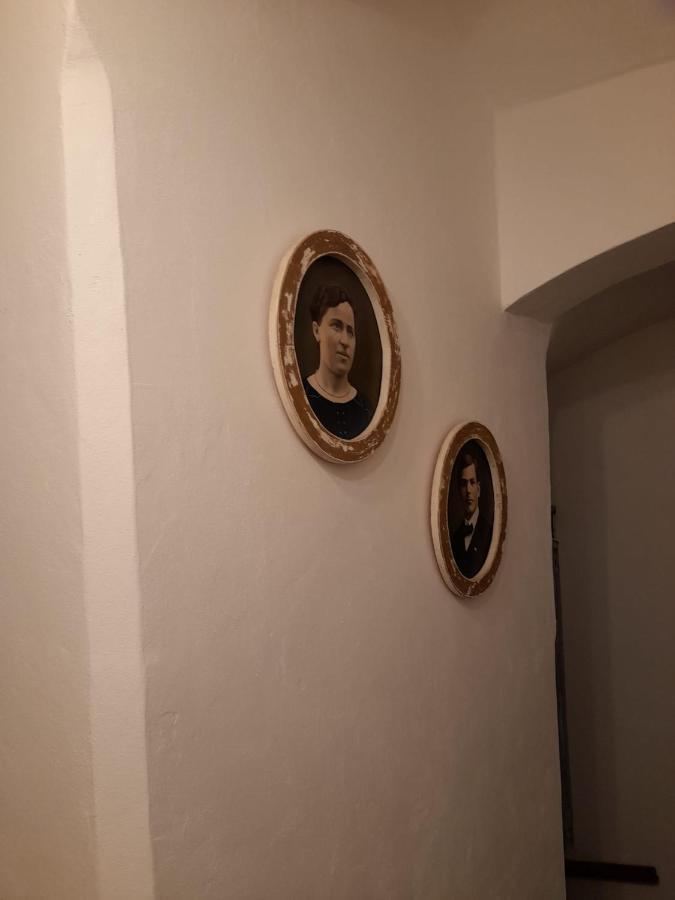 Zlata Leta - Apartmanovy Dum Jáchymov Kültér fotó