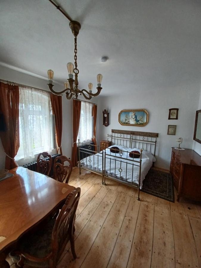 Zlata Leta - Apartmanovy Dum Jáchymov Kültér fotó